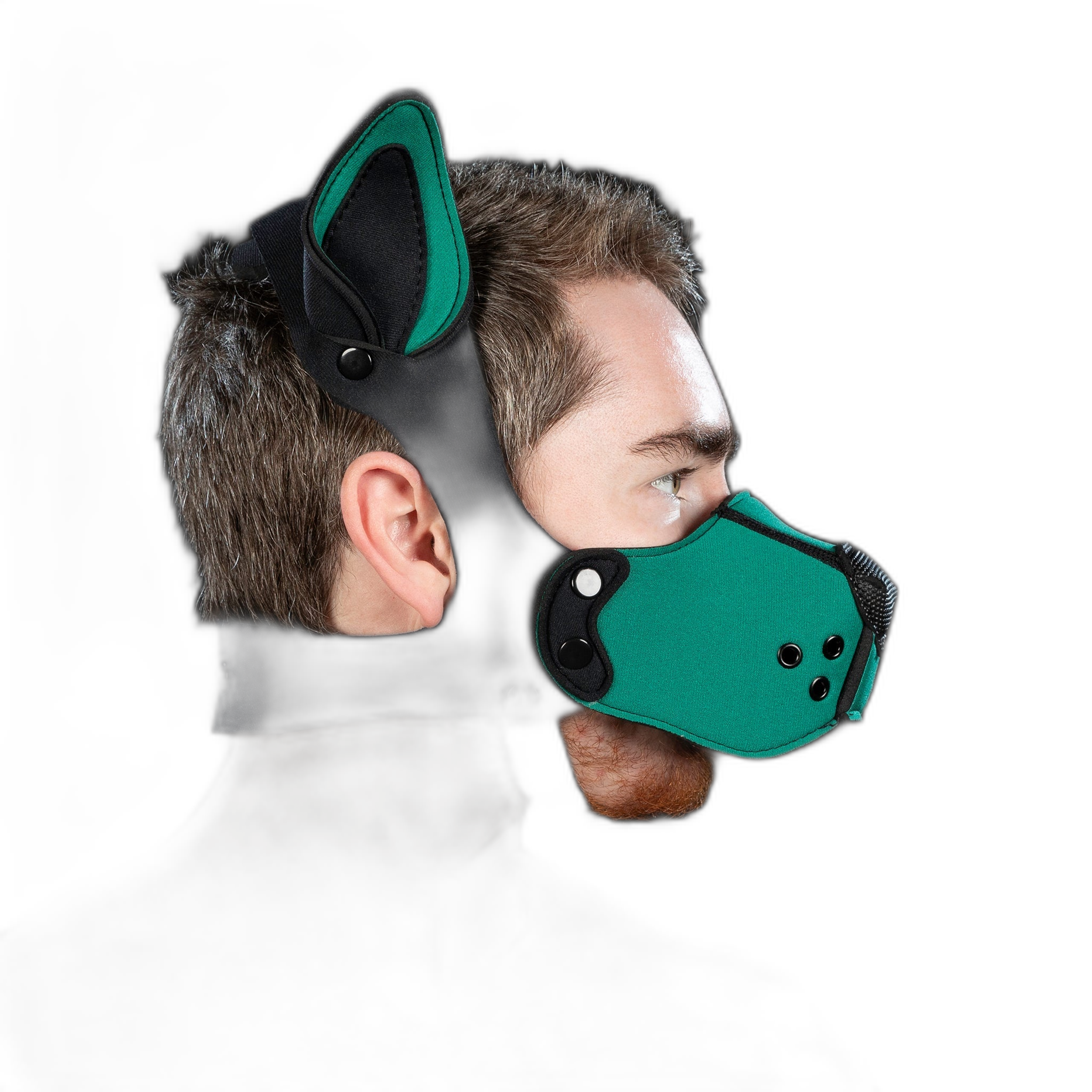 Mr S Leather Neoprene K9 Kit Hunter