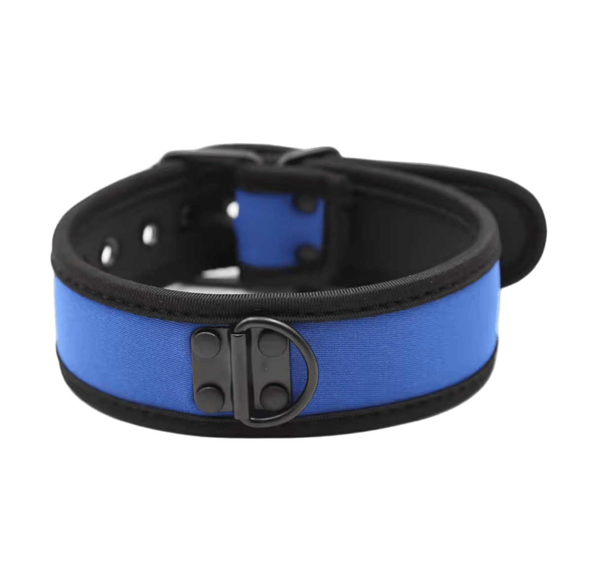 K9 Collar Blue