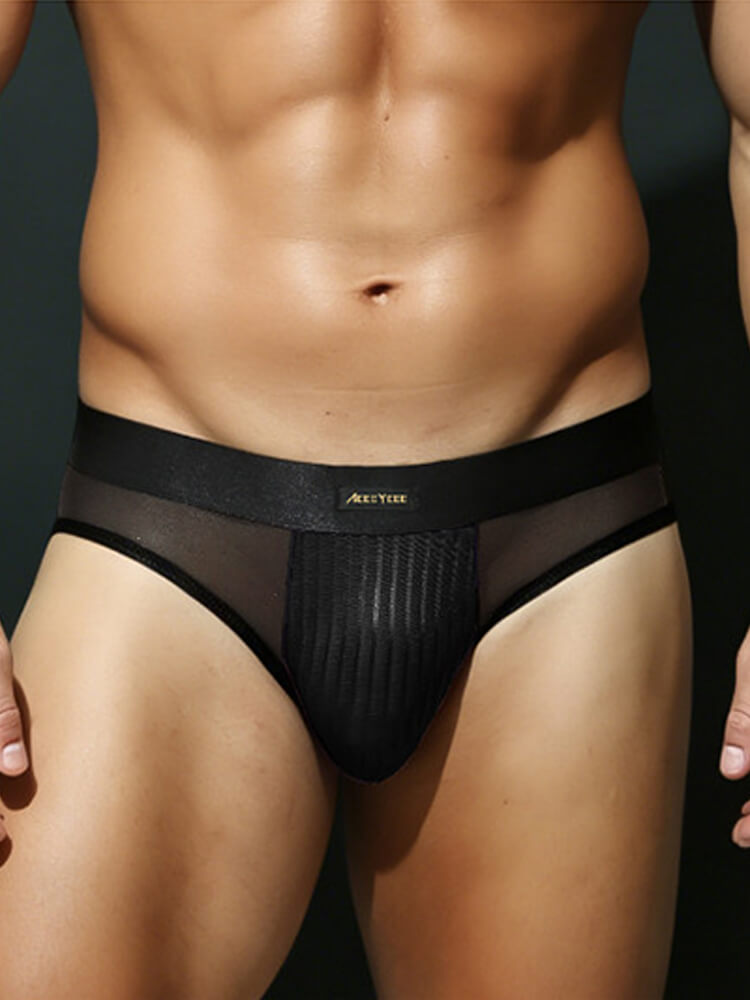 Men's Low-Rise Sexy Mesh-Paneled Breathable Briefs