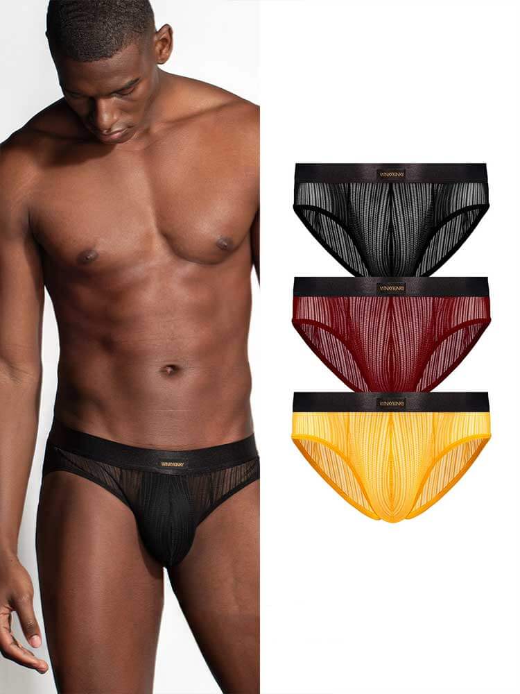 Men's Low-Rise Sexy Sheer Lace Breathable Briefs