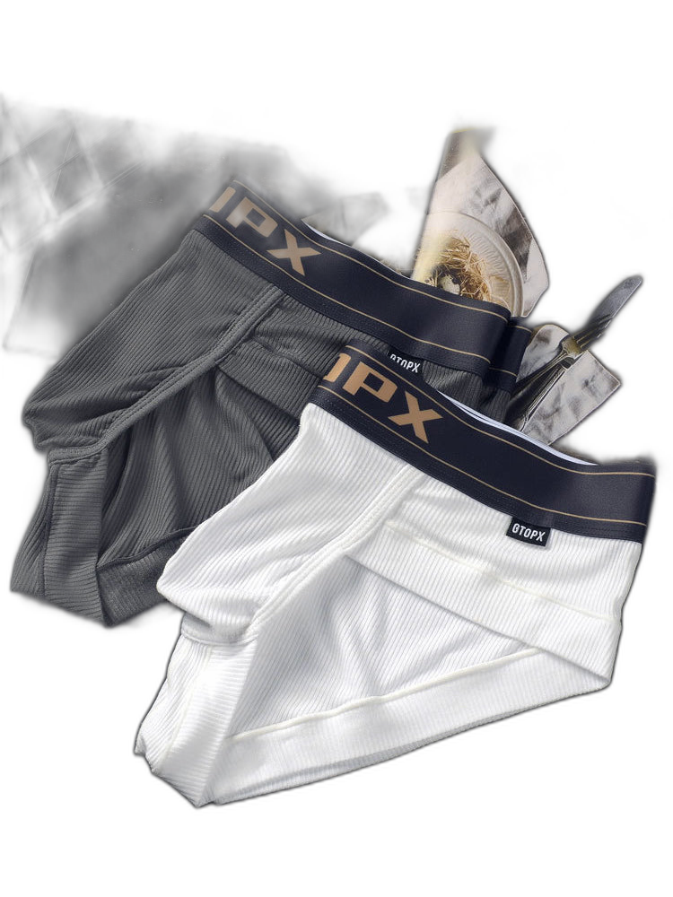2 Pack Men's Big Support Pouch Modal Briefs