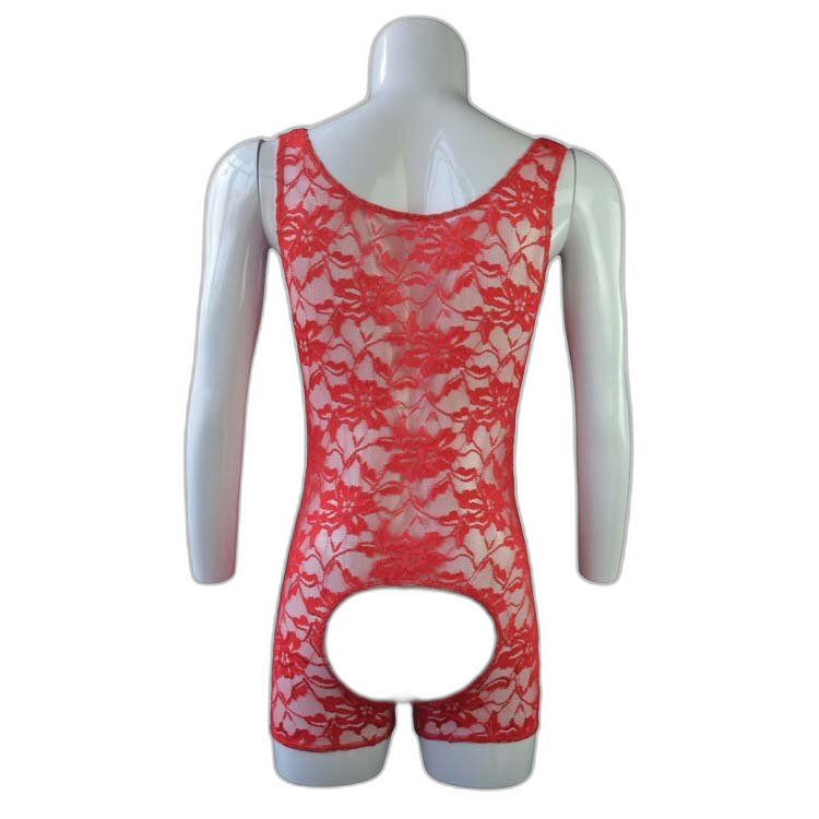 Dainty Delight Open Lace Bodysuit