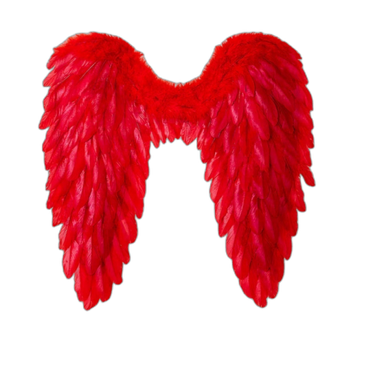 Feather Angel Wings