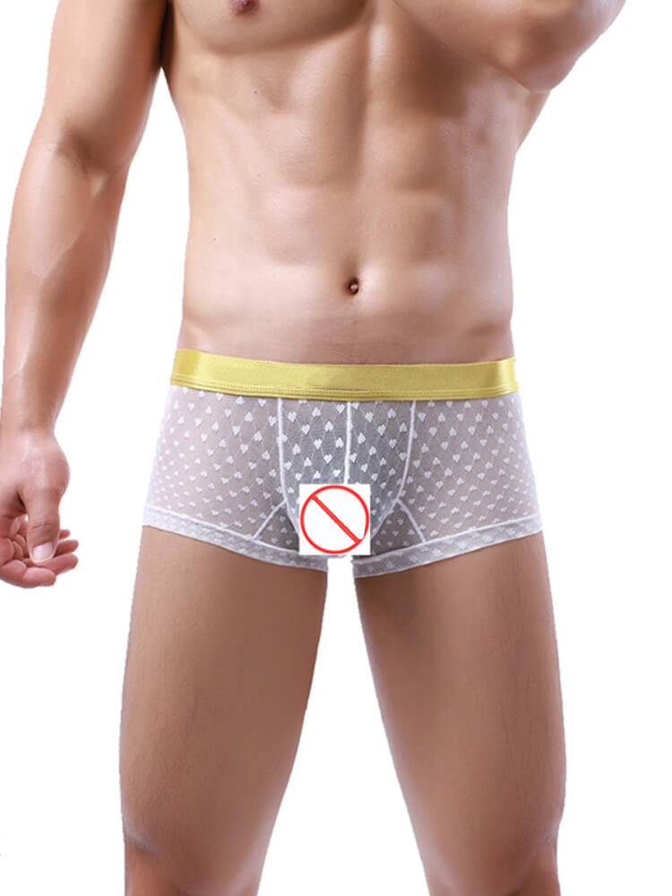Men's Translucent Mesh Spotted Trunks