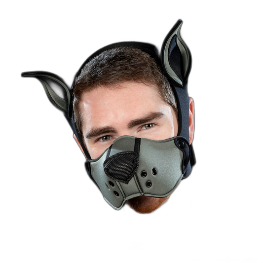 Mr S Leather Neoprene K9 Kit Ears Grey