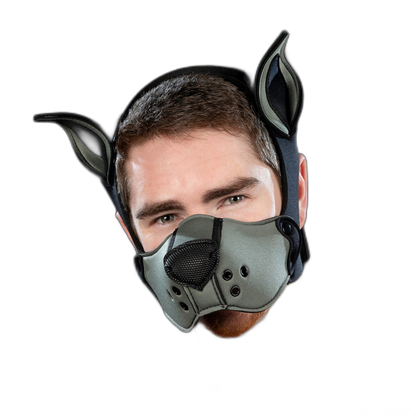 Mr S Leather Neoprene K9 Kit Grey
