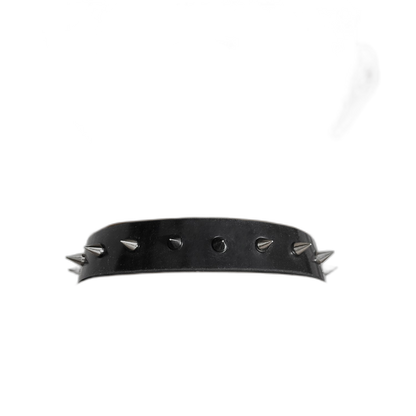 Silicone Spike Collar