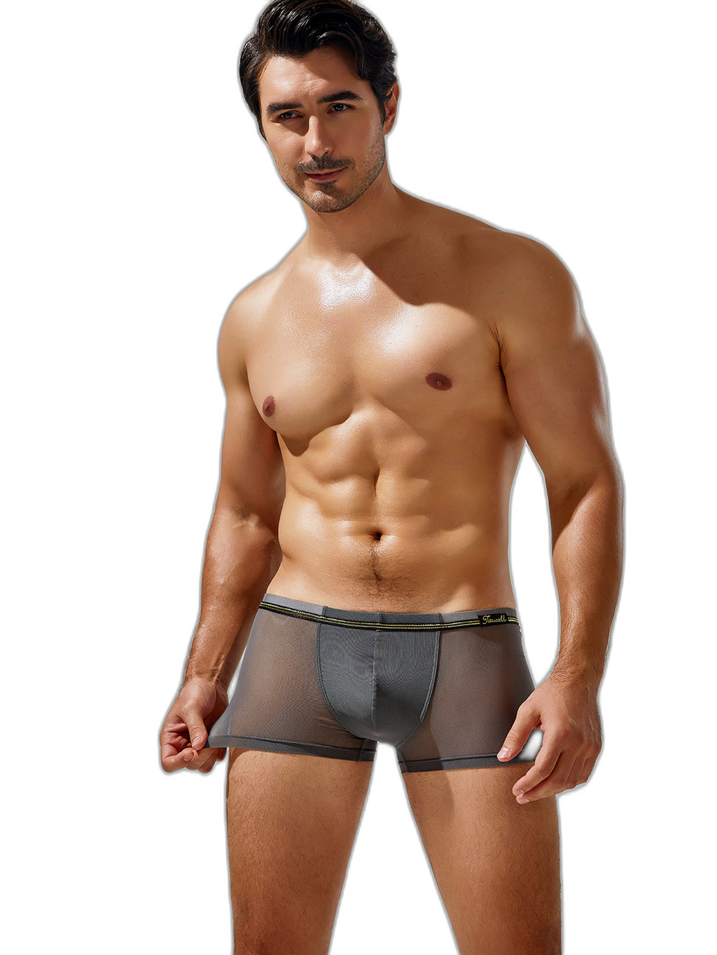 Men's Sexy Low-rise Mesh Trunks