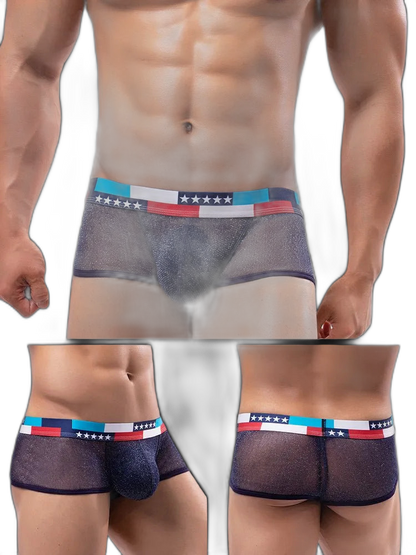 4-pack Low-rise Micro-mesh Boxer Briefs
