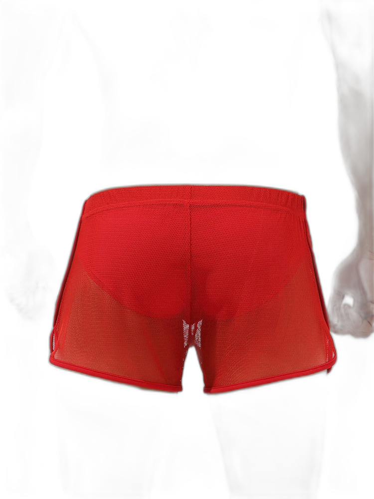 Men’s Sexy See Through Mesh Boxer Shorts