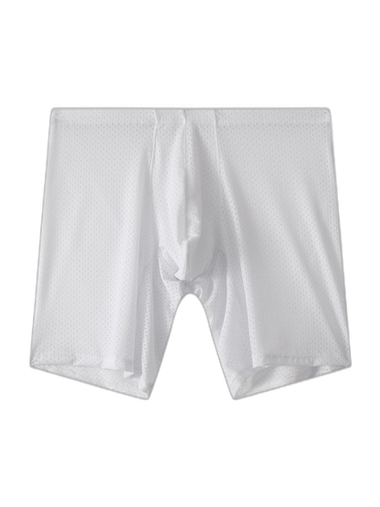 2 Pack Men's Mesh Transparent Sports Fitness Loose Boxer Briefs