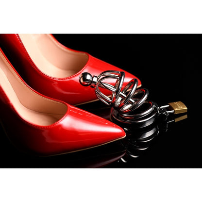 The Asylum Chastity Device