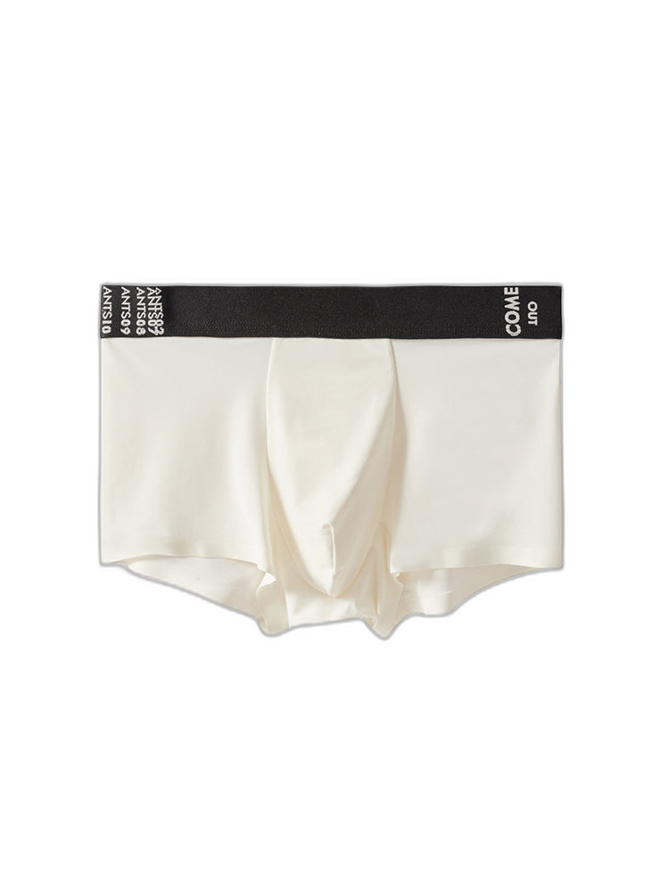 2 Pack Men's Premium Ultra-Thin Seamless Ice Silk Stretch Fit Trunks