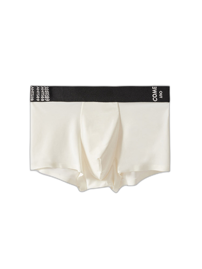 2 Pack Men's Premium Ultra-Thin Seamless Ice Silk Stretch Fit Trunks