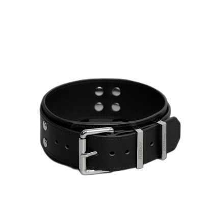 Buckle Style Leather Collar