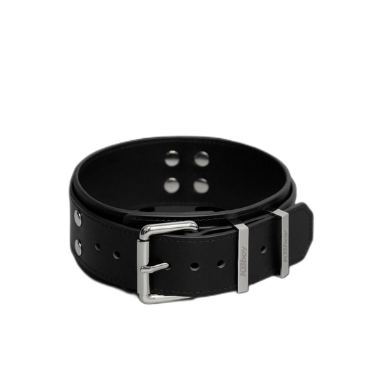 Buckle Style Leather Collar