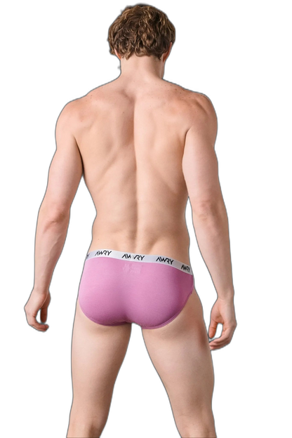 3 Pack SIGNATURE Slip Briefs