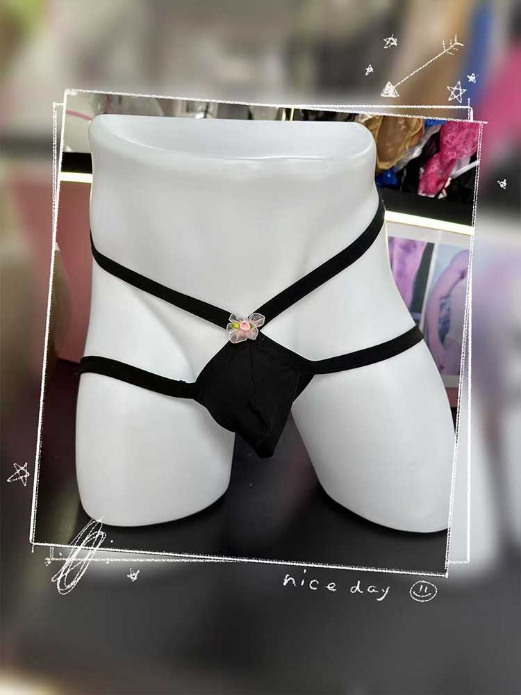 Men's Sexy Lace Sheer Multi-Style Underwear