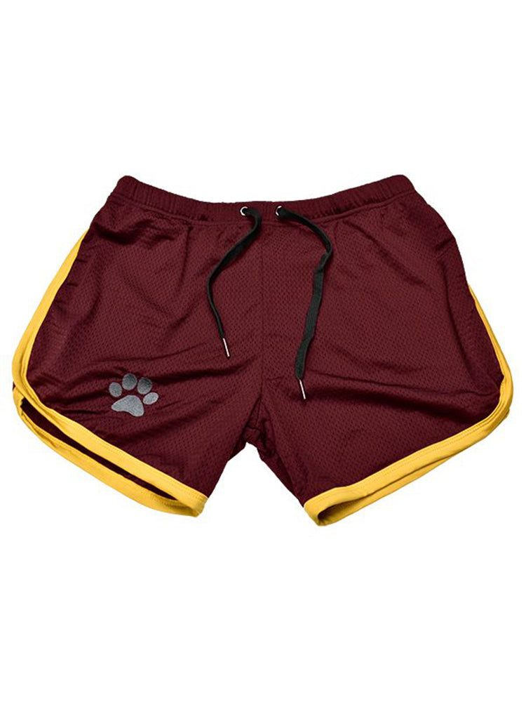 Bear Pride Paw Shorts