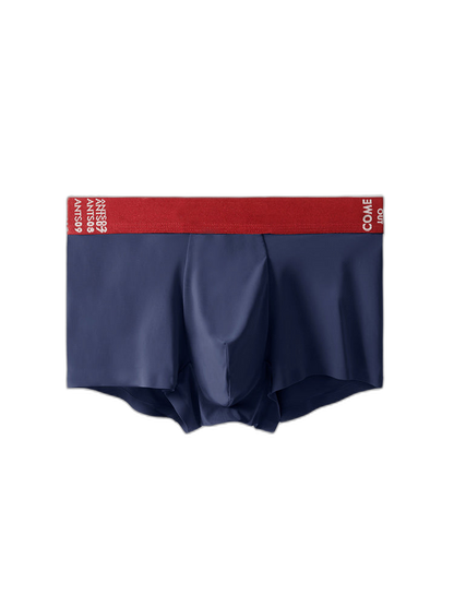 2 Pack Men's Premium Ultra-Thin Seamless Ice Silk Stretch Fit Trunks