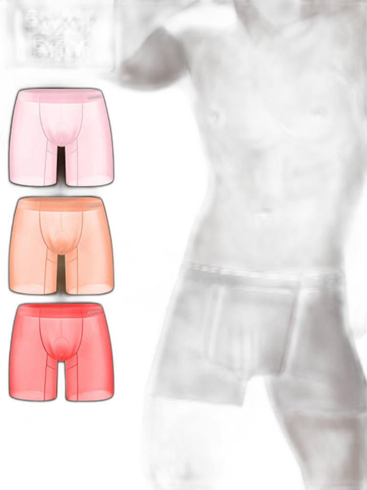 Men's Ultra-Thin Quick-Dry Sheer Boxer Briefs