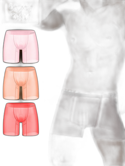 Men's Ultra-Thin Quick-Dry Sheer Boxer Briefs