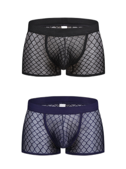 2 Pack Men's Sexy Transparent Mesh Trunks