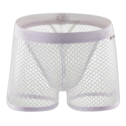 AllureFit Sexy Mesh Boxers Briefs
