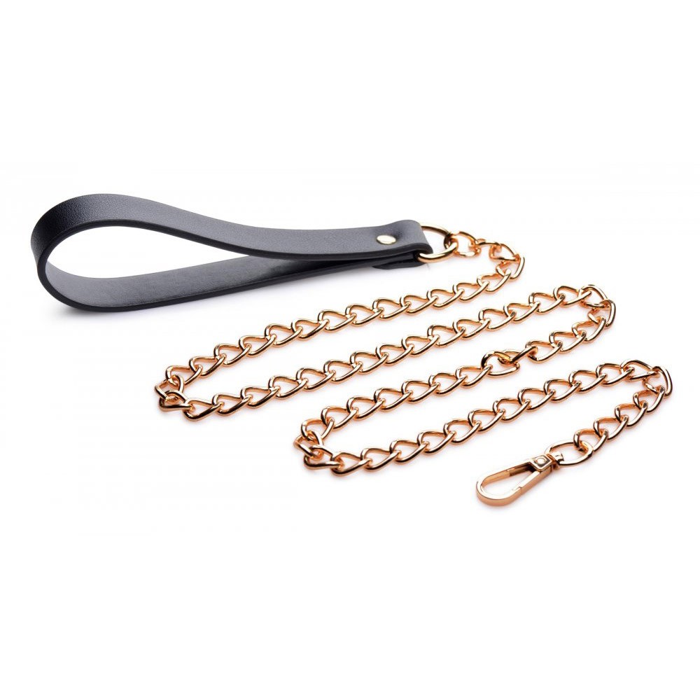 Black and Gold Collar with Leash Kit