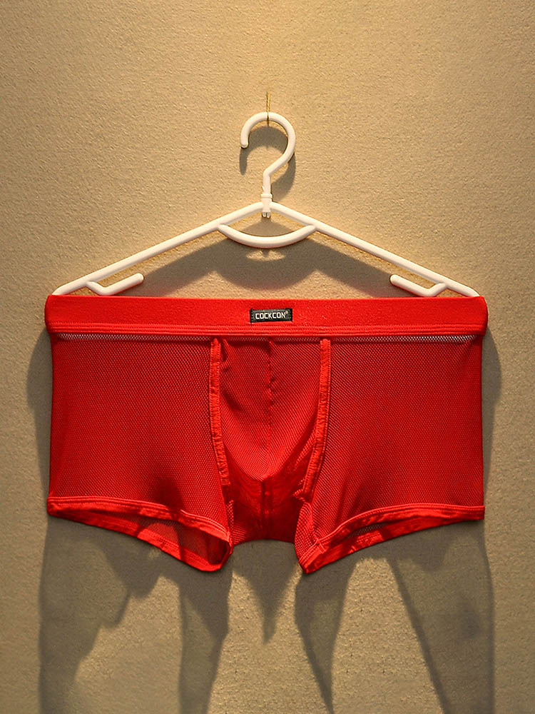 Men's Mesh Solid Color U-Convex Pouch Boxer Briefs