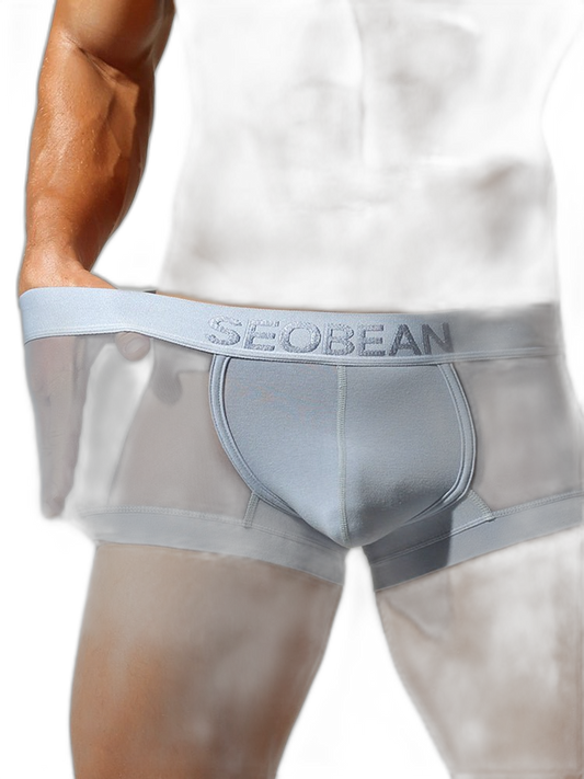 2 Pack Men's Stay-Put Fit Lightweight & Airy Solid Color Semi-Transparent Trunks