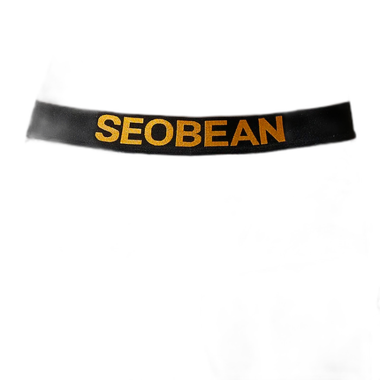 SEOBEAN Year of the Pisces Briefs