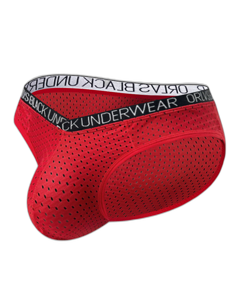 2 Pack Men's Sexy V-shape Waistband Mesh Bikinis