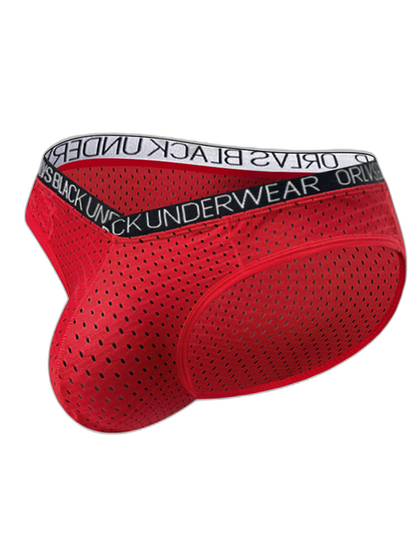 2 Pack Men's Sexy V-shape Waistband Mesh Bikinis