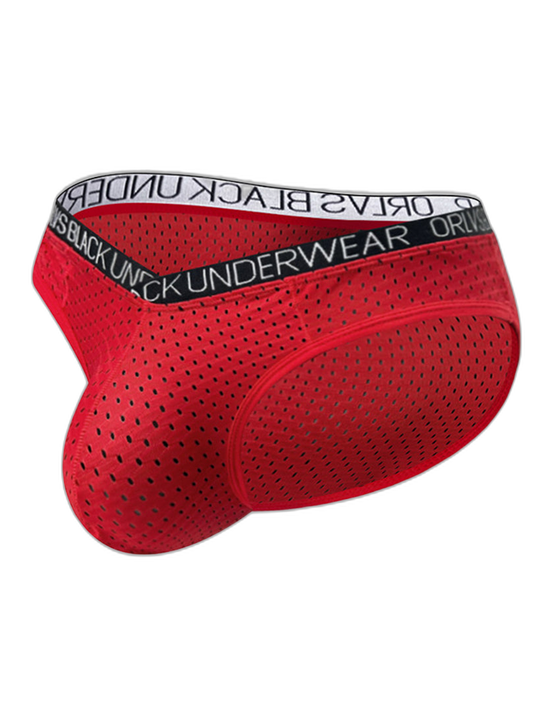 2 Pack Men's Sexy V-shape Waistband Mesh Bikinis
