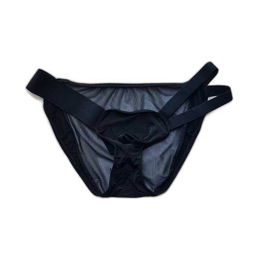 D.M Nylon Low Waist Sexy Mesh Erotic Briefs