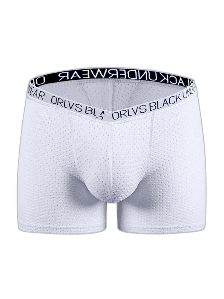 2 Pack Men's Sexy V-shape Waistband Mesh Trunks