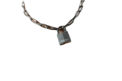 ruff GEAR Pitbull Chain 3mm with 30mm Master Lock