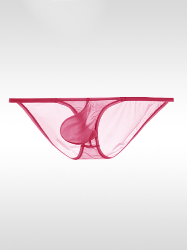 Men's Sexy Sheer Low-Rise Pouch Ultra-Thin Briefs
