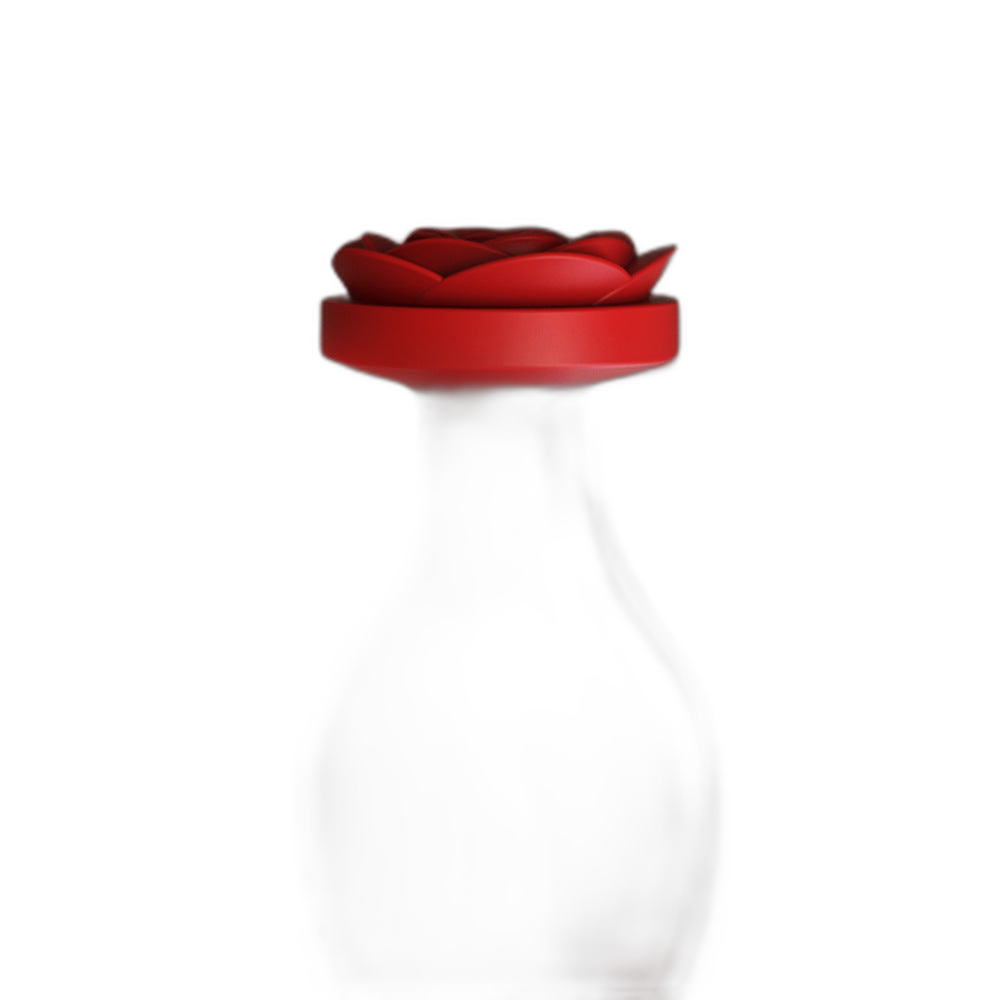 Rose - Silicone Anal Training Kit