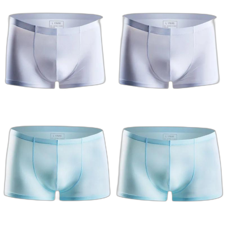 Ice Embrace Transparent Boxer Briefs (4 Pack)