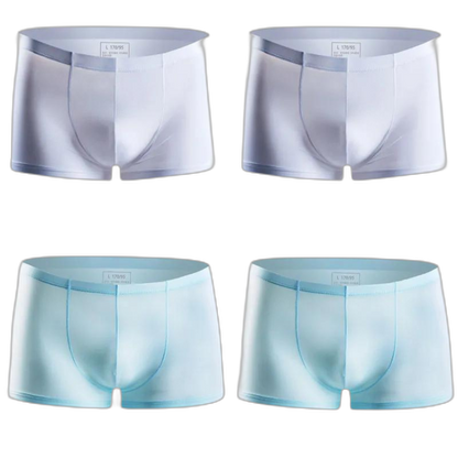 Ice Embrace Transparent Boxer Briefs (4 Pack)