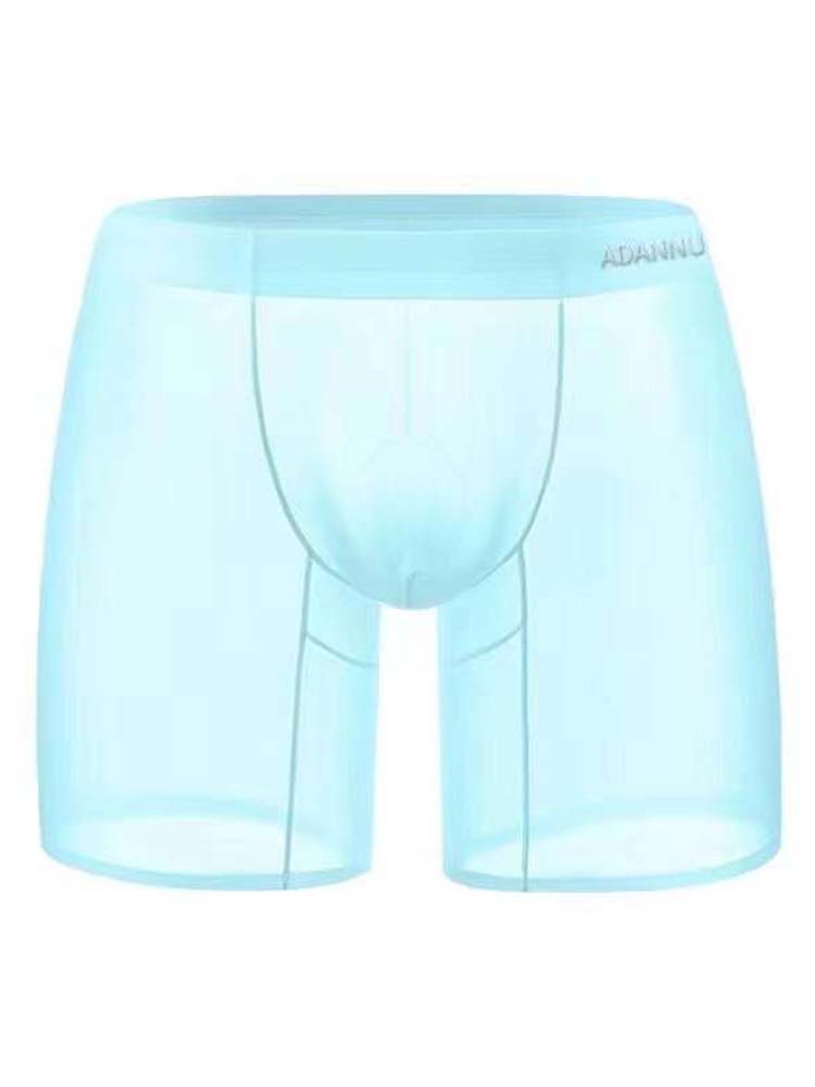 Men's Mesh See Through Low Rise Trunks
