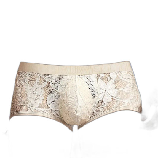 Sheer Temptation Lace Briefs for Men