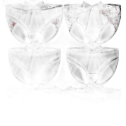 Open Crotch Embroidered Mens Lace Briefs