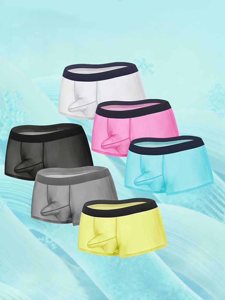 Men's Sexy Seamless Sheer Ice Silk Boxer Briefs