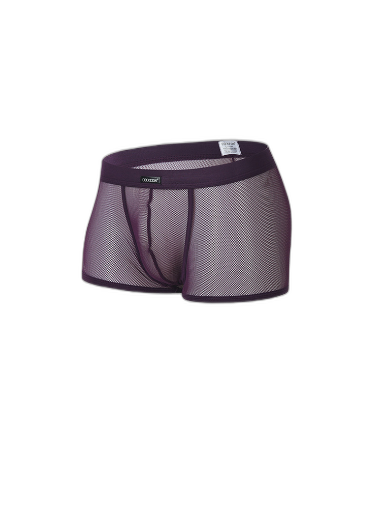 Men's Sexy Transparent Mesh Trunks