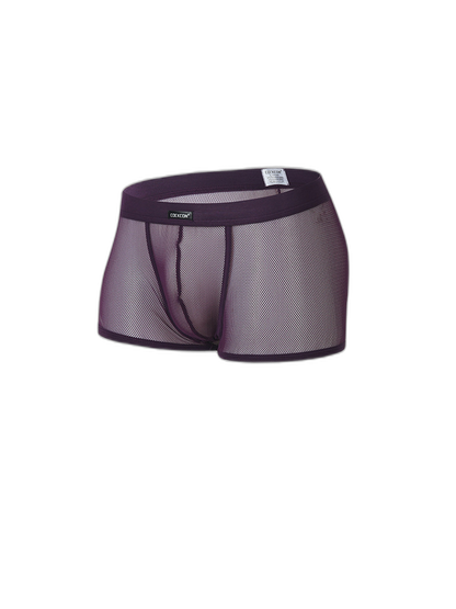 Men's Sexy Transparent Mesh Trunks