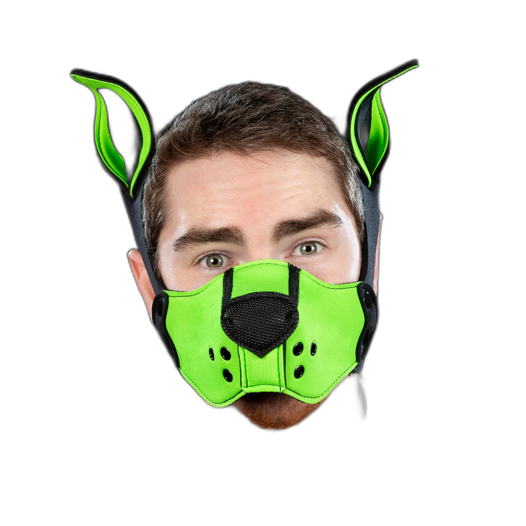 Mr S Leather Neoprene K9 Kit Ears Lime