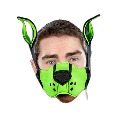 Mr S Leather Neoprene K9 Kit Muzzle Lime